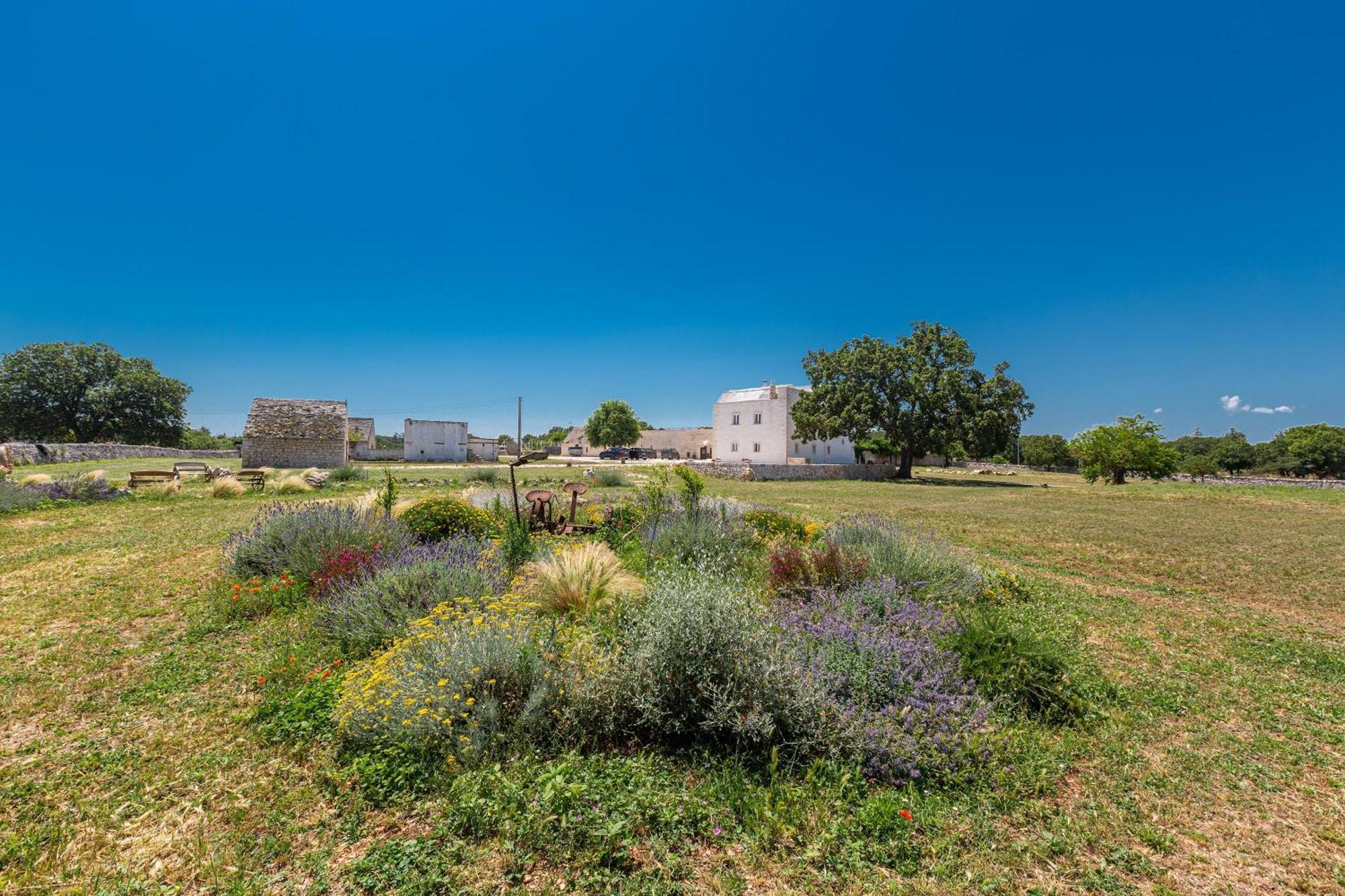 Masseria Nicola Casavola Martina Franca Bagian luar foto